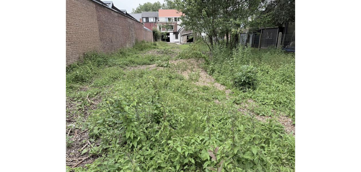 PROFESSION ET HABITATION DANS UN IMMEUBLE. IMMENSE JARDIN