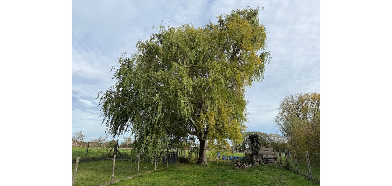 RUIME TE RENOVEREN STIJLVOLLE WONING MET IMMENSE TUIN, GARAGE